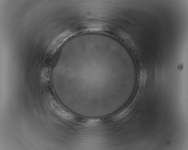 X0000114991353200911231132