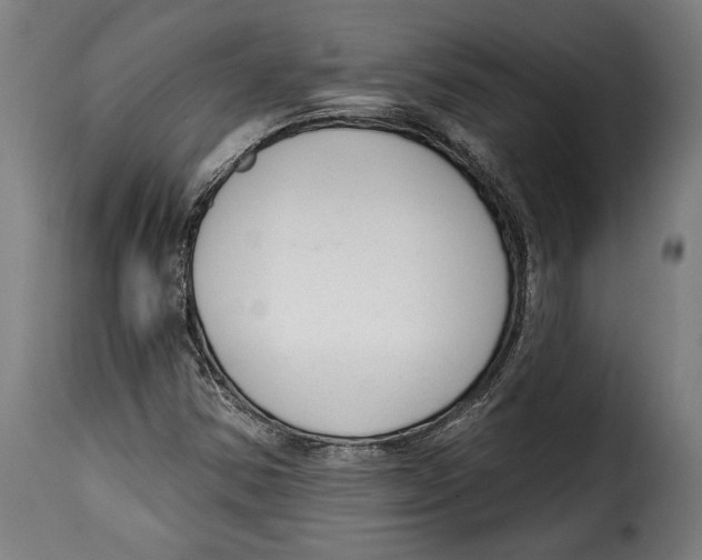 X0000114991354200911231132