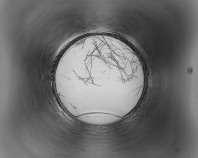 X0000114991356200911231132