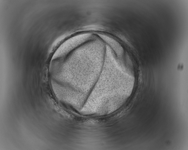 X0000114991358200911231132