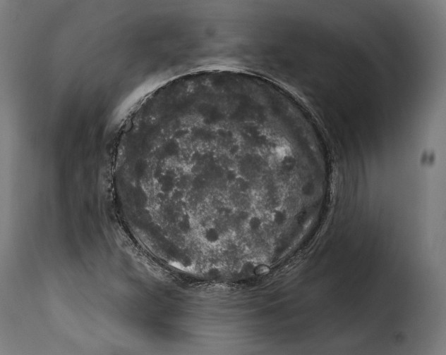 X0000114991359200911231132