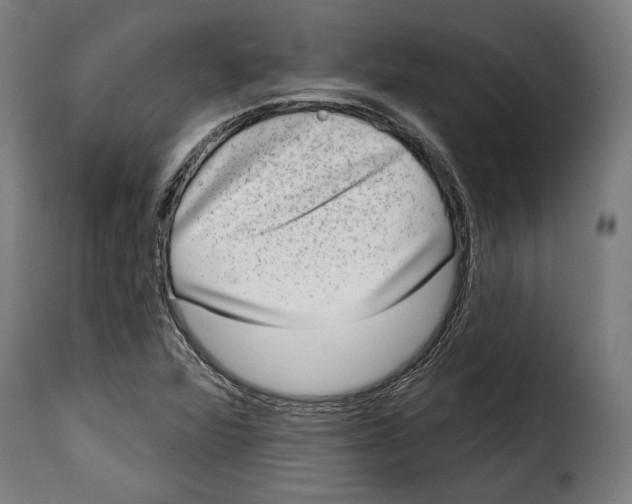 X0000114991360200911231132