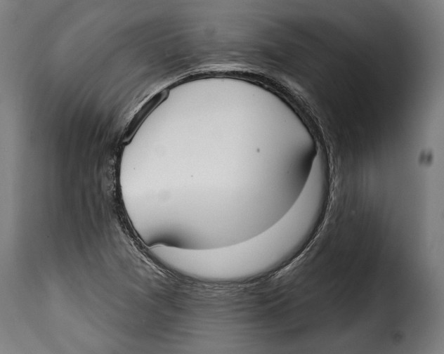 X0000114991361200911231132