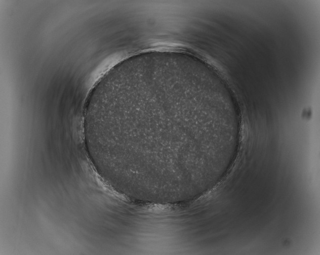 X0000114991362200911231132