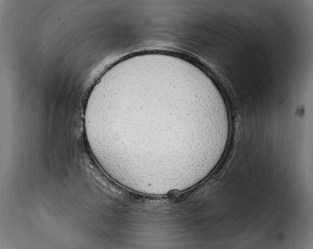 X0000114991363200911231132