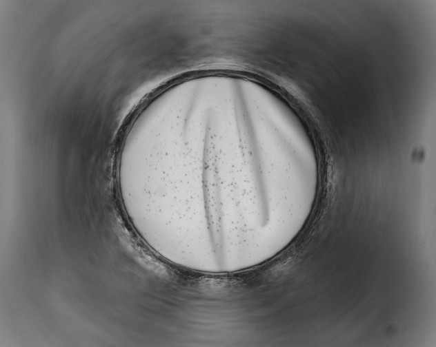 X0000114991364200911231132