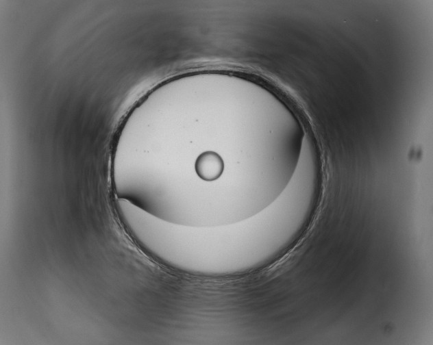 X0000114991365200911231132