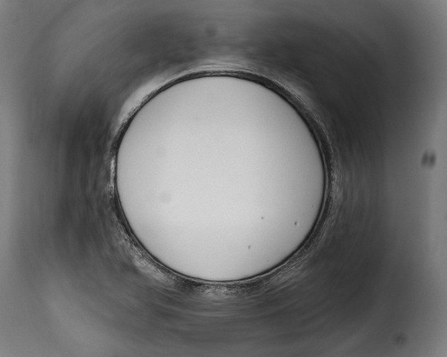 X0000114991366200911231132