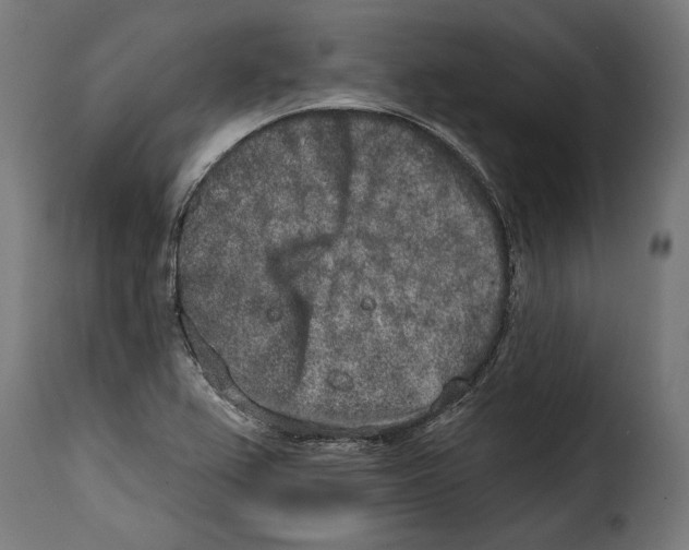 X0000114991367200911231132