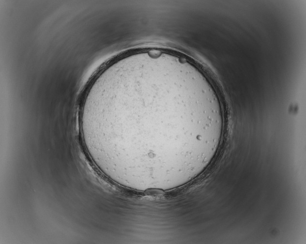 X0000114991368200911231132