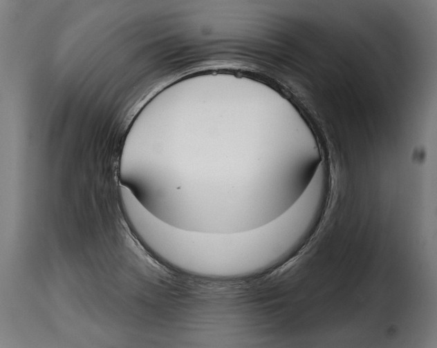 X0000114991369200911231132