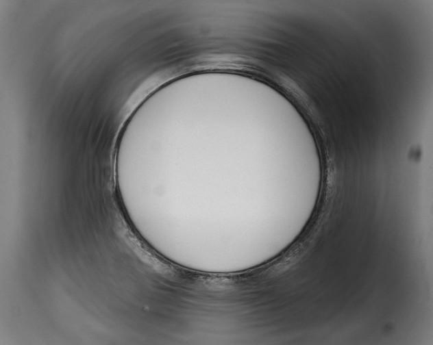 X0000114991370200911231132