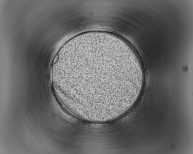 X0000114991371200911231132