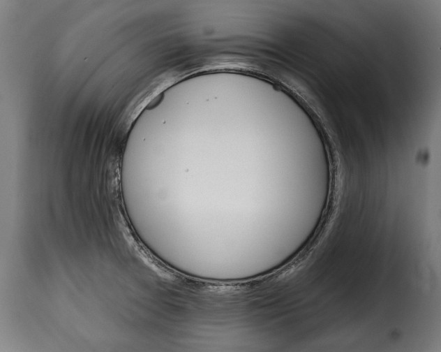 X0000114991377200911231132