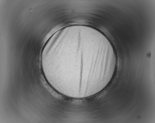 X0000114991378200911231132