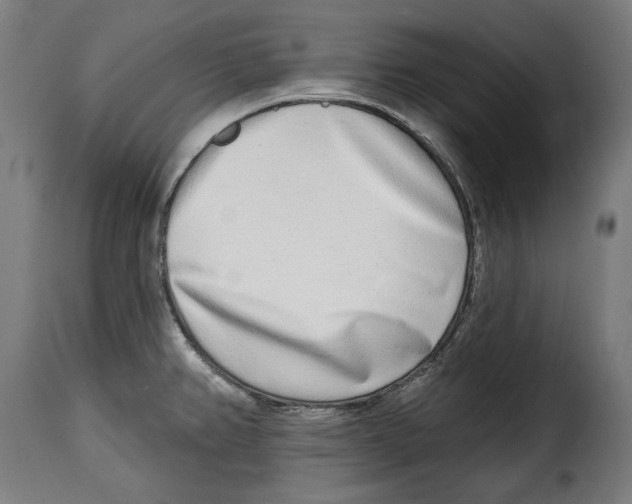 X0000114991382200911231132