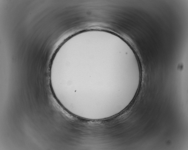 X0000114991384200911231132