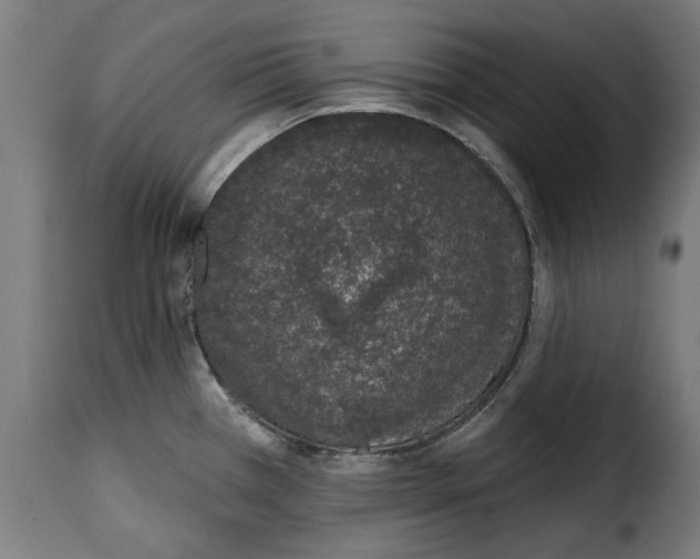 X0000114991385200911231132