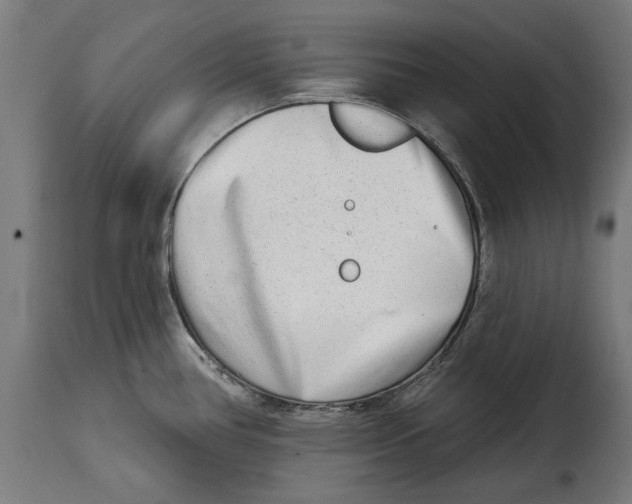 X0000114991386200911231132