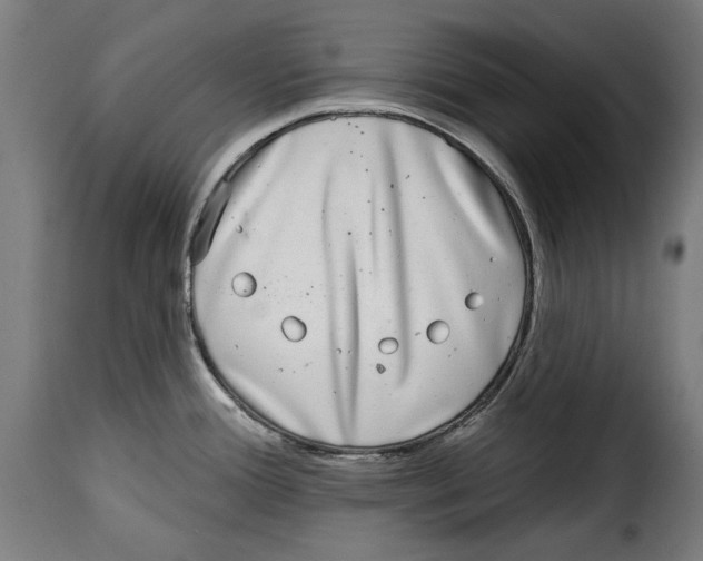 X0000114991388200911231132