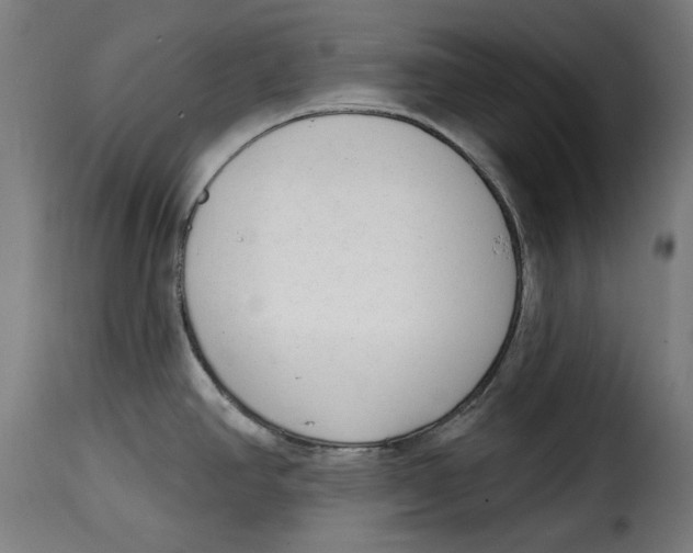 X0000114991390200911231132