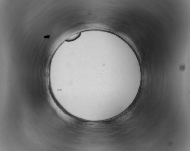 X0000114991391200911231132