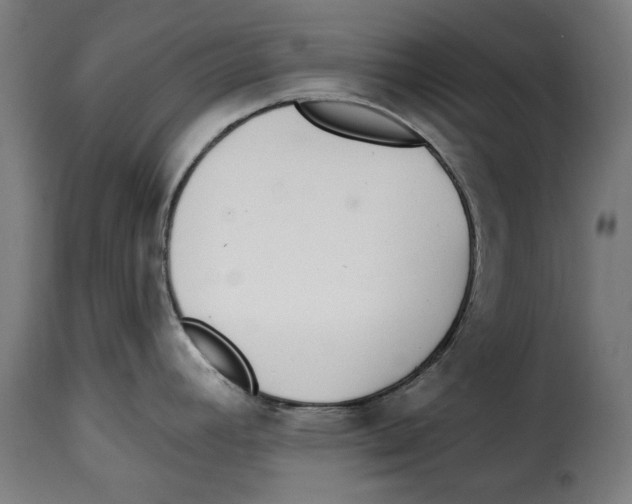 X0000114991392200911231132