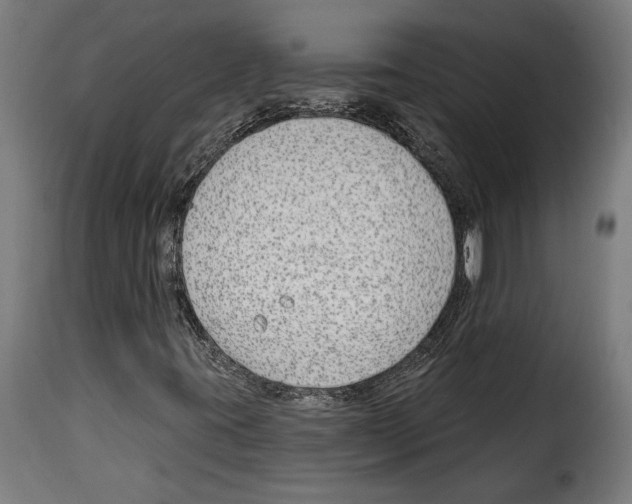 X0000114991395200911231131