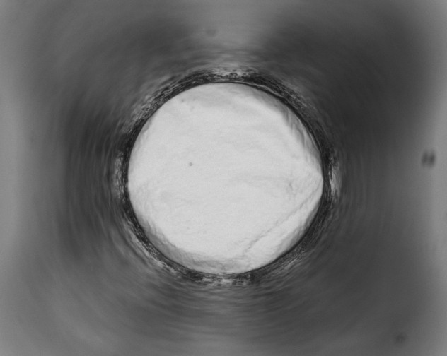 X0000114991396200911231131