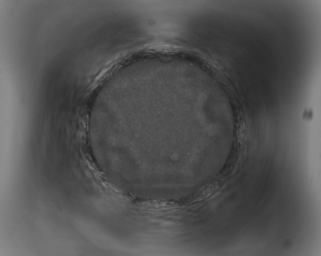 X0000114991397200911231131