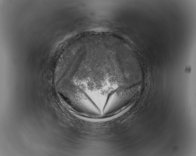 X0000114991398200911231131