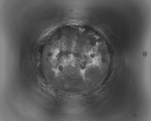 X0000114991399200911231131