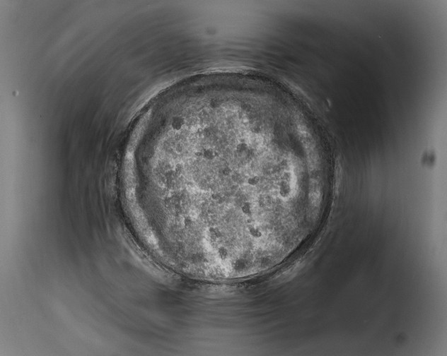 X0000114991401200911231131