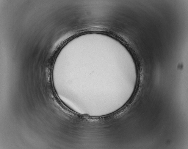 X0000114991402200911231131