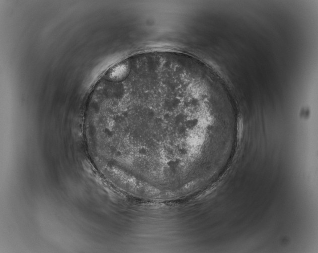 X0000114991405200911231131