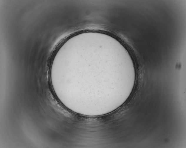 X0000114991408200911231131