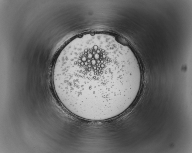 X0000114991410200911231131