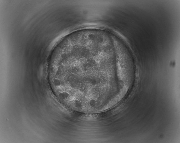 X0000114991411200911231131