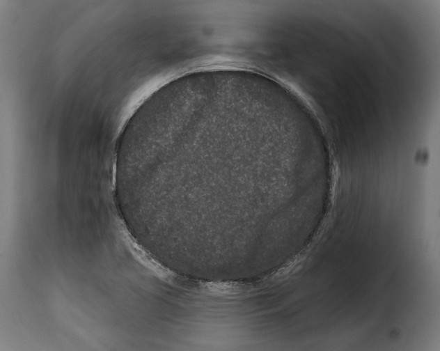 X0000114991413200911231131