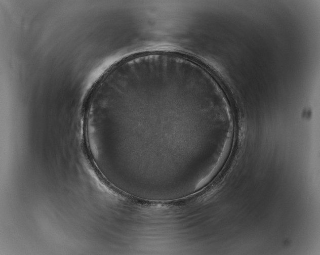 X0000114991414200911231131