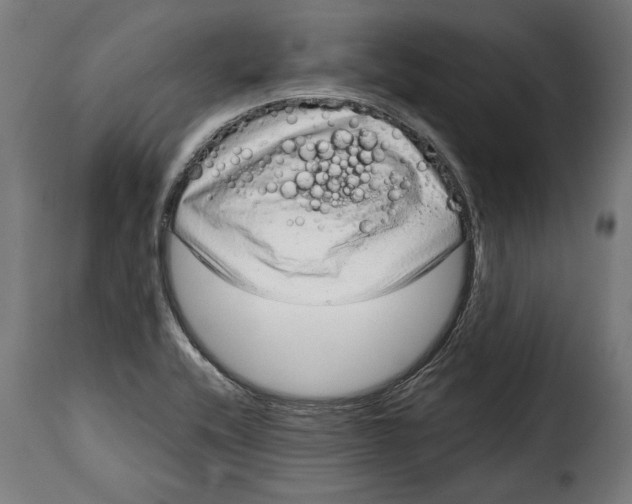 X0000114991416200911231131