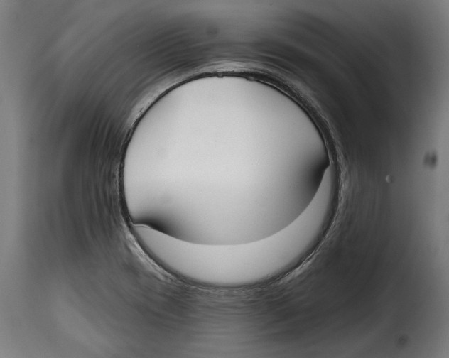 X0000114991417200911231131