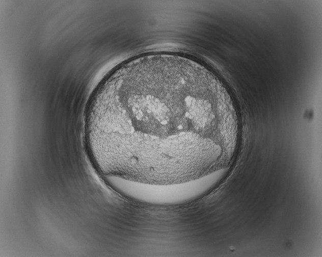 X0000114991418200911231131