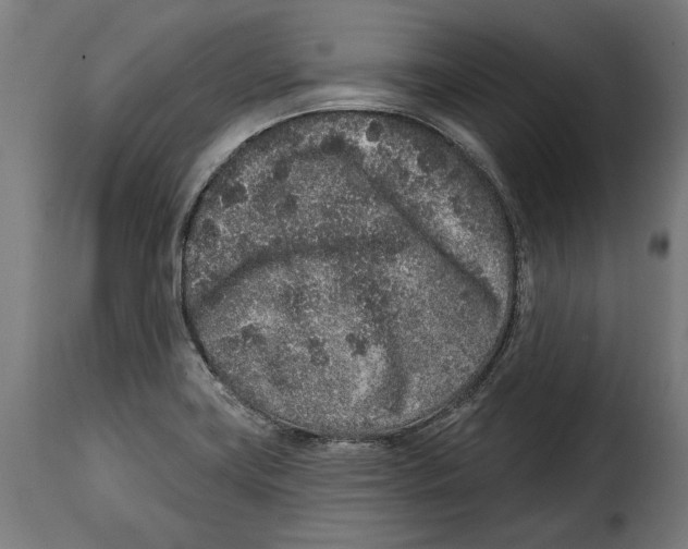 X0000114991419200911231131