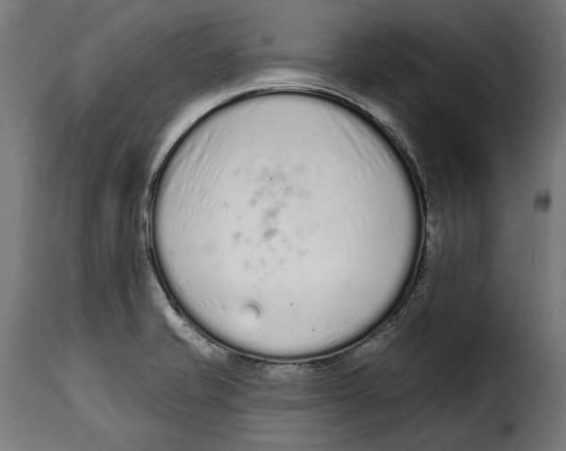 X0000114991421200911231131