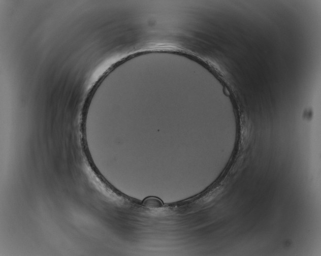 X0000114991422200911231131