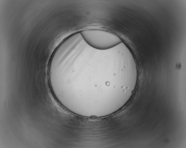 X0000114991423200911231131