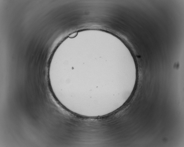 X0000114991424200911231131