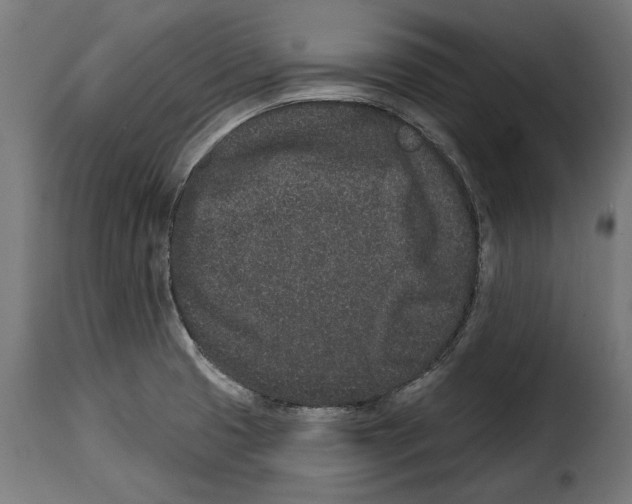 X0000114991425200911231131