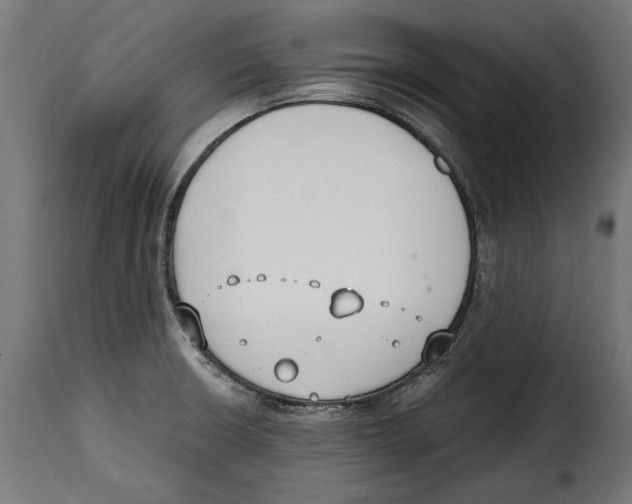 X0000114991426200911231131